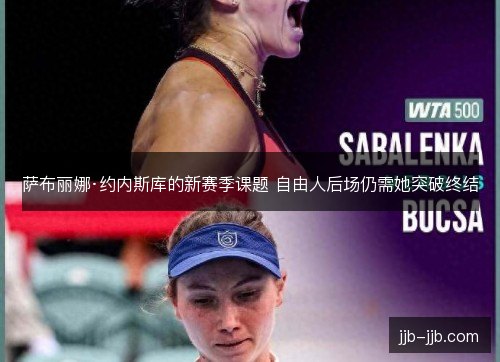 萨布丽娜·约内斯库的新赛季课题 自由人后场仍需她突破终结